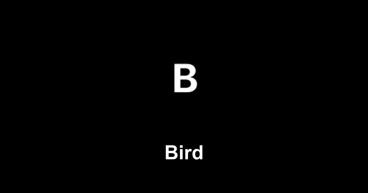 Bird SMS outbound (United States)
