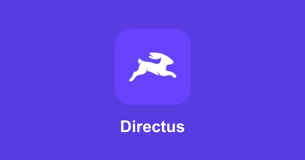 Directus Team extra SSO seat